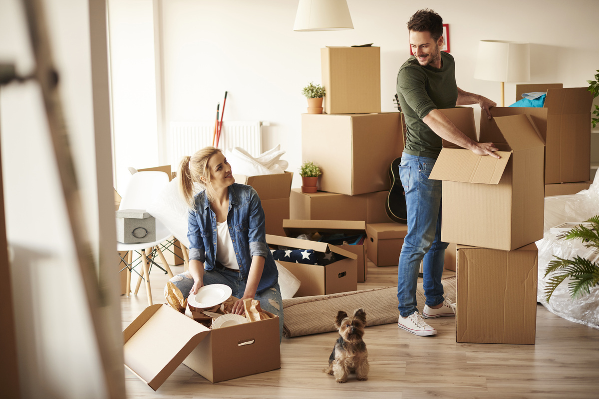 Umzug & Formalitäten in Kiel – Checklisten, Tipps und Services